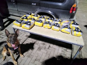 Нерон нањушио марихуану у „бункеру“ џипа на Мердару