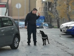 Цариник који разуме само француски
