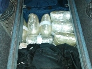 Готово 60 килограма марихуане у поду аутобуса