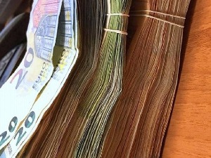 Возач камиона ипак остао без непријављених девиза