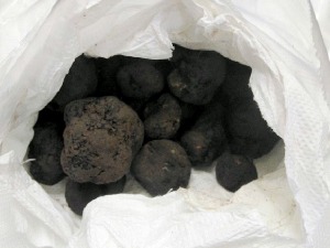 Пун кофер црних тартуфа
