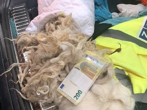 Еври сакривени у јастуку, мотору, филтеру климе...