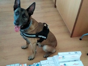 Царински пас у командној табли открио кријумчарене цигарете