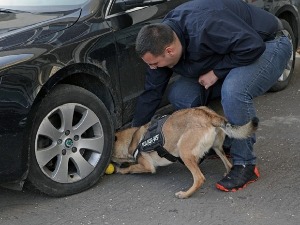 Ако Хера нањуши дуван, кријумчари одмах падају