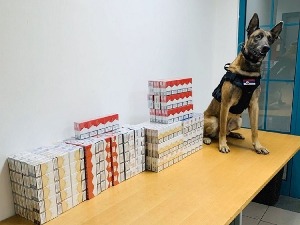 Обучени царински пси свакодневно откривају цигарете