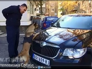 Белгијски овчари и лабрадори у државној служби