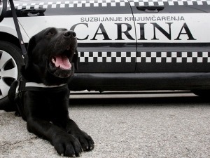 Српски телеграф: Пас Џекс страх и трепет за дилере