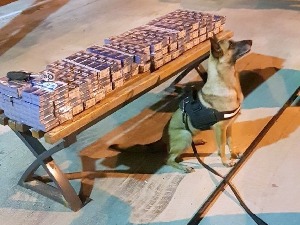 Курир: Рекордно