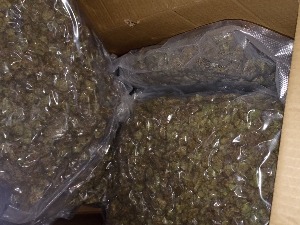 Заплењено више од 43 килограма марихуане