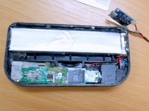 Бугарин шверцовао "либанску клопку" у доњем вешу