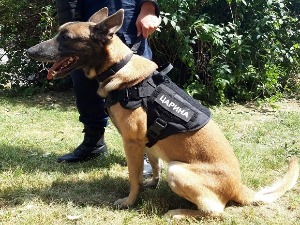 Немогуће је цигарете сакрити од Нерона