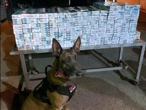 Курир: Нерон и Хера разоткривају шверцере и дилере