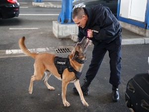 Неро је ''живи зид'' за шверцере
