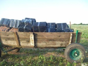 Спречен покушај кријумчарења две хиљаде боксова цигарета