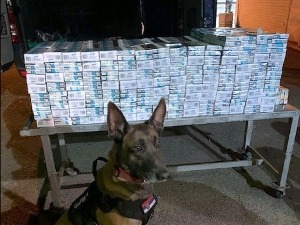 Кров комбија тапациран цигаретама