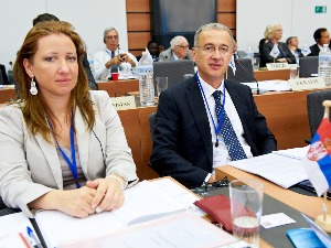 Одржана 117/118. седница Савета Светске царинске организације