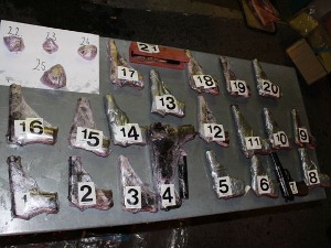 На Хоргошу откривено 20 пиштоља