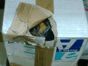 Нови покушај кријумчарења дувана на ауто-путу