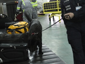 Осам разлога за сумњу службеника на аеродрому