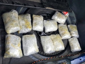 Заплењено преко 3,5 килограма марихуане