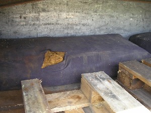 Пола тоне резаног дувана међу поморанџама и јагодама
