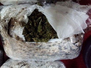 Цариници открили преко16 килограма марихуане